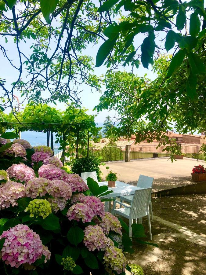 Villa Il Ciliegio Stella Cilento Exterior foto
