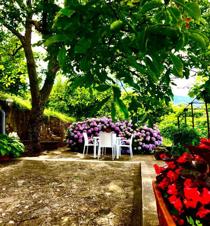 Villa Il Ciliegio Stella Cilento Exterior foto